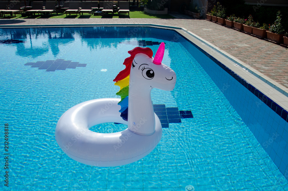 Unicorn cheap water float