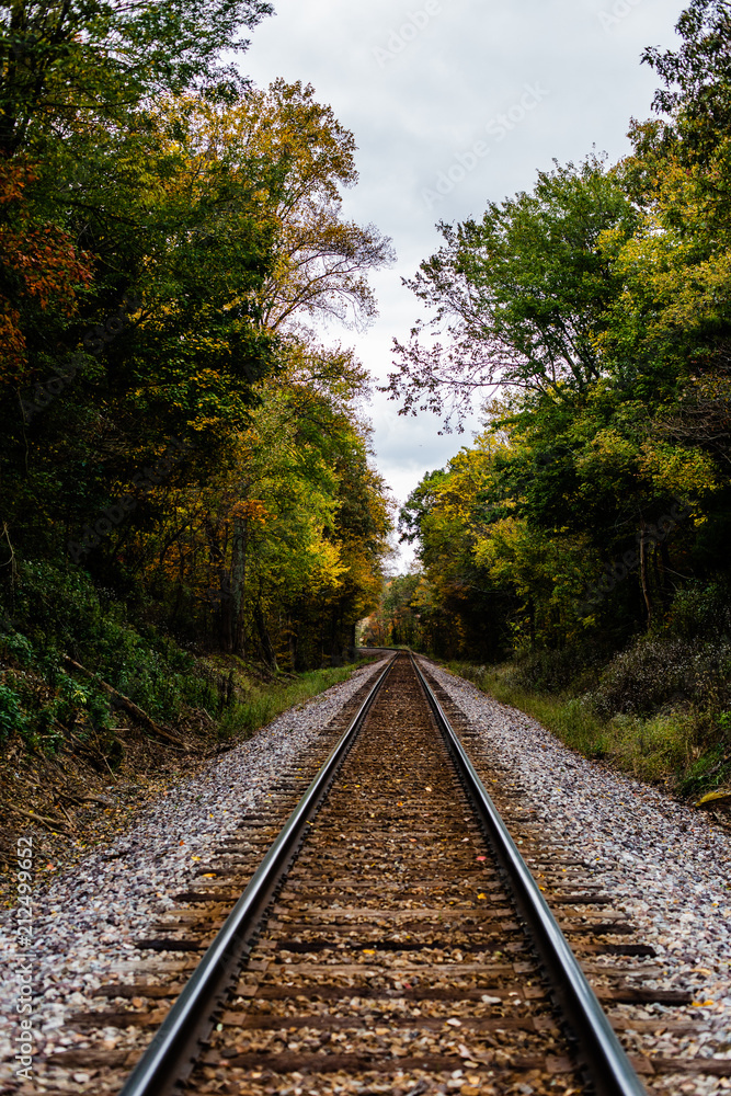 An abandoned railroad in the middle of a forest in fall