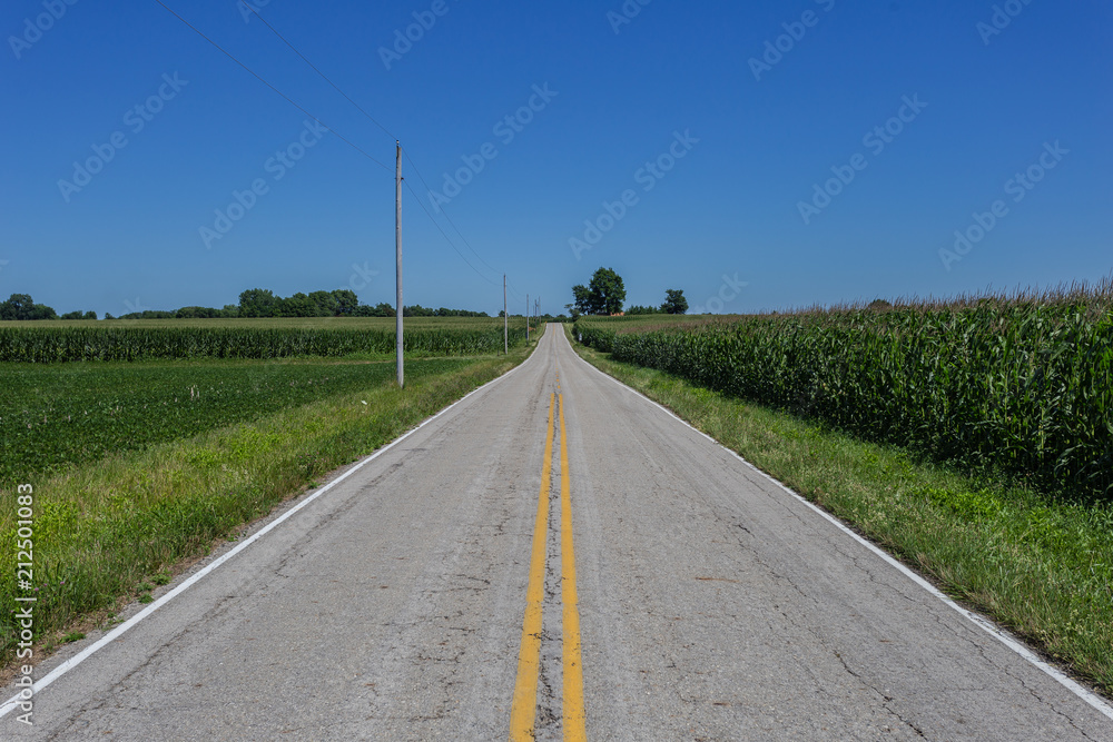 Road with yellow lines leading away