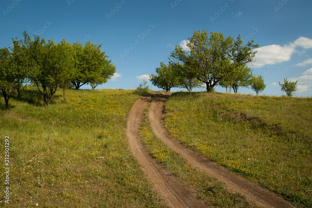 Summer sunny landscape Summer sunny landscape