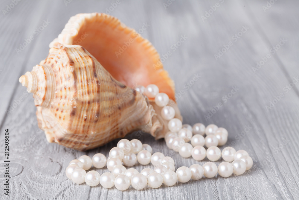 Wedding background with pearls and sea shell. Luxury wedding background Wedding background with pearls and sea shell. Luxury wedding background