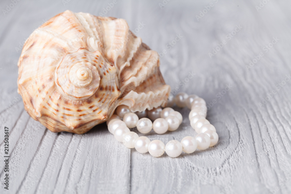 Wedding background with pearls and sea shell.