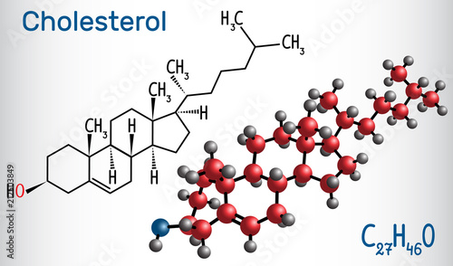Cholesterol molecule. Structural chemical formula and molecule model