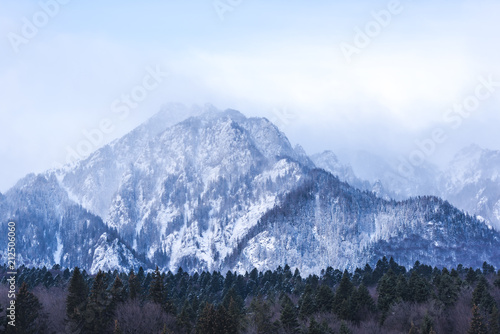 Winter in Carpathian Mountains