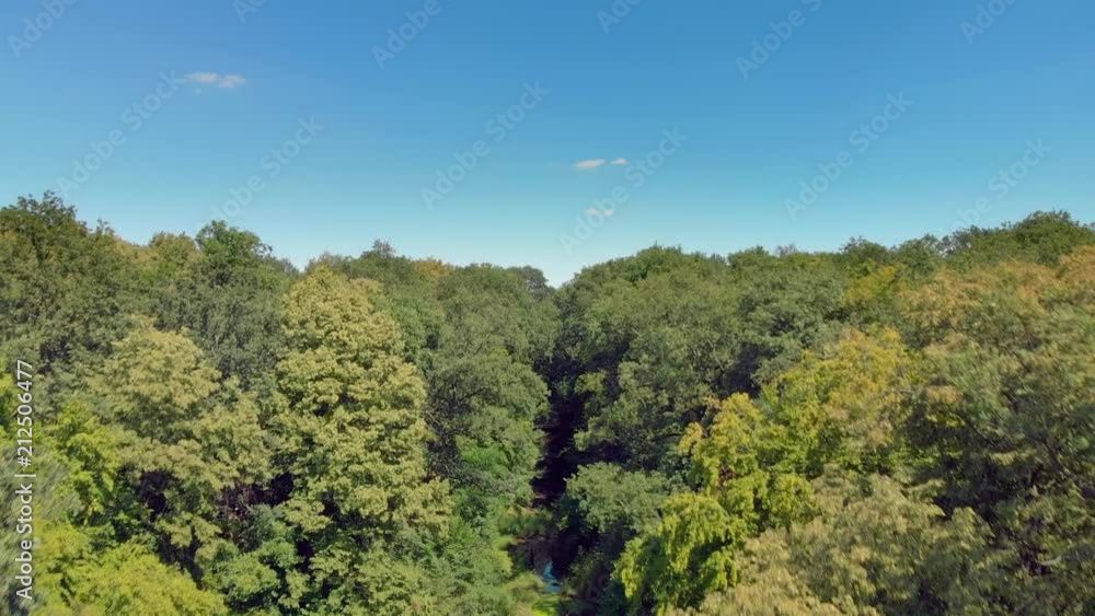 River with algae and duckweed inside forest. River with algae and duckweed inside forest.