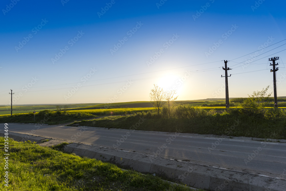 Fototapeta premium Rape field in the springtime