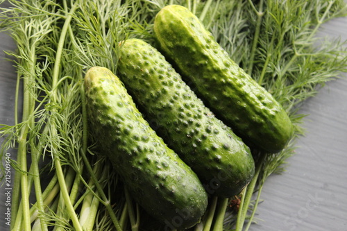Three green fresh cucumbers and dill isolated close-up on a wooden table