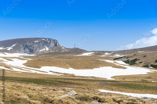 landscape at cota 2000 in the springtime  Romania  Bucegi mountains