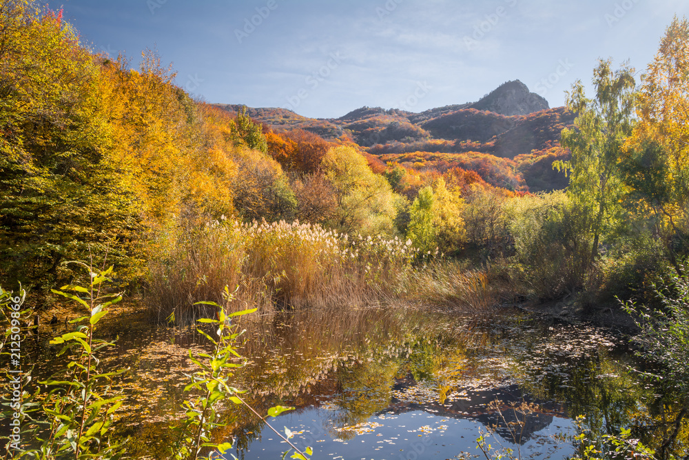 Autumn beech forest. Mountain range Demerdzhi, the Republic of Crimea. Autumn beech forest. Mountain range Demerdzhi, the Republic of Crimea.