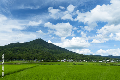 筑波山夏