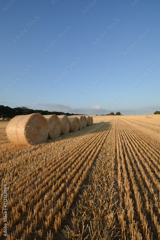 Fototapeta premium Stoppelfeld mit Strohballen in der Abendsonne - Getreidefeld in Nadelitz bei Putbus auf Rügen