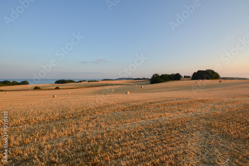 Gerstenfeld  Strohballen im Abendlicht - Hintergund Blick zum Bodden bei Gro   Stresow auf R  gen