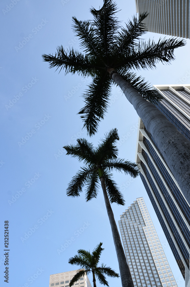 buildings in the city of miami