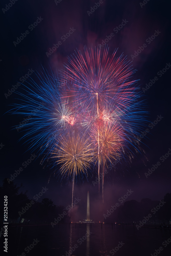Washington D.C. Fireworks 