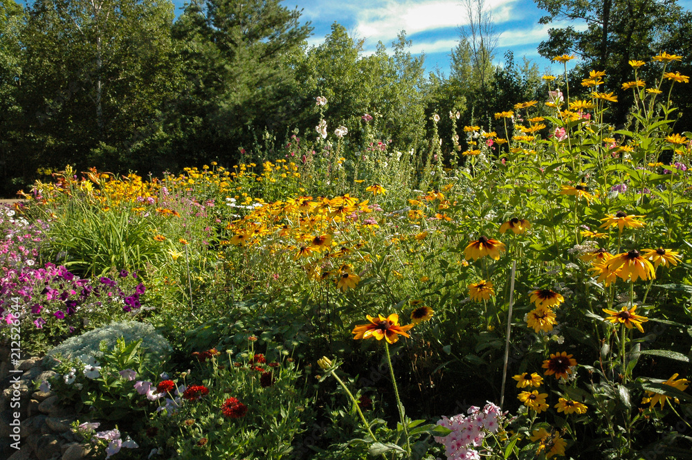 Obraz premium Wildflower garden