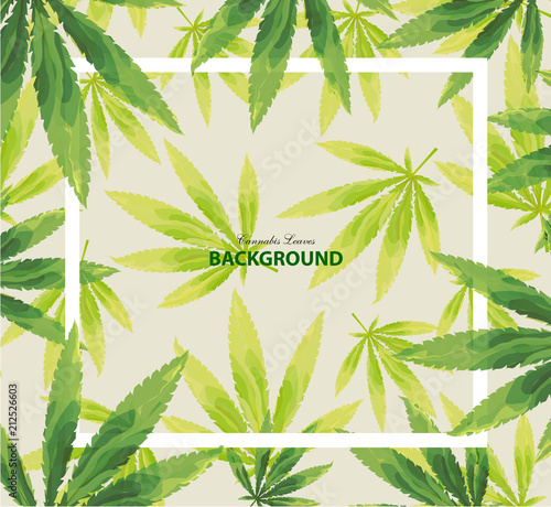 green cannabis leaf drug marijuana herb Background.