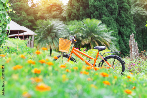 Vintage Bicycle in flowers garden on summer landscape background
