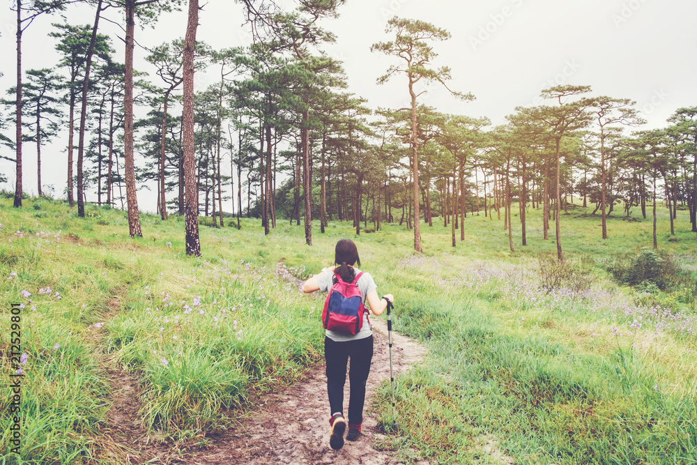 Young tourist woman hiking and backpacker at Forest Travel concept Young tourist woman hiking and backpacker at Forest Travel concept