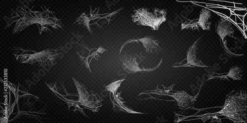 Fotografia Collection of Cobweb, isolated on black, transparent background