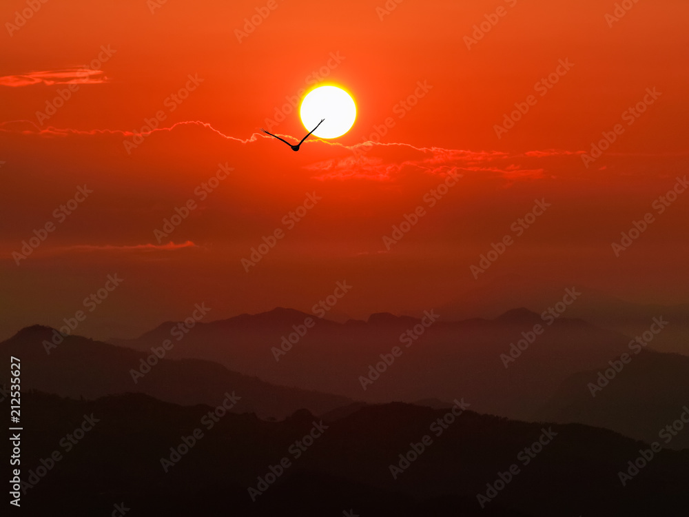 Rising sun above the mountain ranges and flying bird Rising sun above the mountain ranges and flying bird