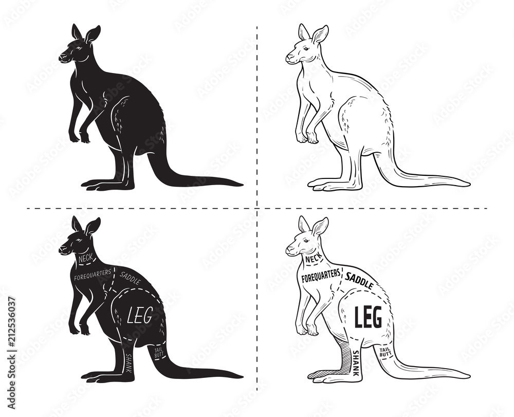 Cut of kangaroo set. Poster Butcher diagram - desert-ship. Vintage typographic hand-drawn. Vector illustration Cut of kangaroo set. Poster Butcher diagram - desert-ship. Vintage typographic hand-drawn. Vector illustration