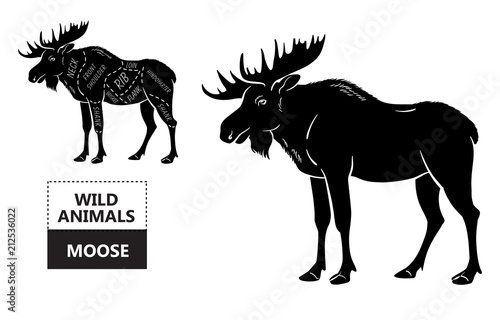 Cut of elk set. Poster Butcher diagram - desert-ship. Vintage typographic hand-drawn. Vector illustration