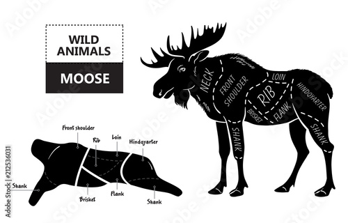 Cut of elk set. Poster Butcher diagram - desert-ship. Vintage typographic hand-drawn. Vector illustration