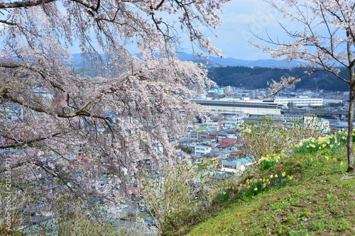 岩手県一ノ関の釣山公園 photo