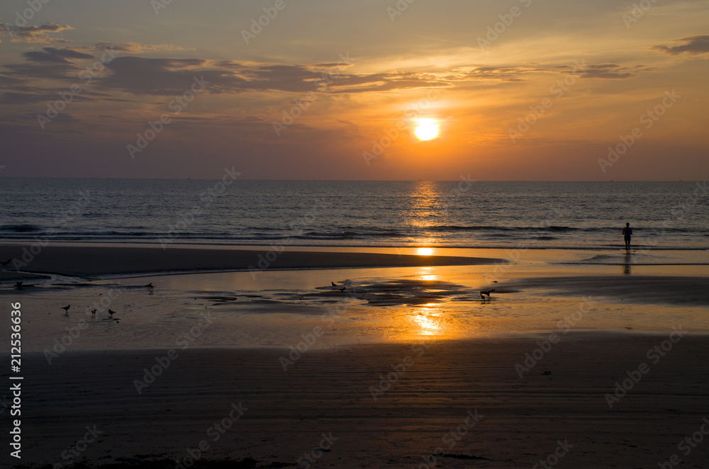 Beautiful landscape an orange sunset at the sea
Beautiful landscape an orange sunset at the sea