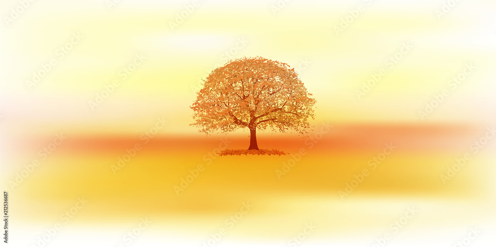 紅葉 木 秋 背景 Stock Vector Adobe Stock