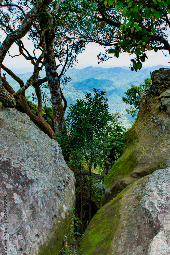 The point of view of the mountains and the town of Chaiyaphum at Pha Sut Pen Din in Pa Hin Ngam National Park , Chaiyaphum in Thailand. The point of view of the mountains and the town of Chaiyaphum at Pha Sut Pen Din in Pa Hin Ngam National Park , Chaiyaphum in Thailand.