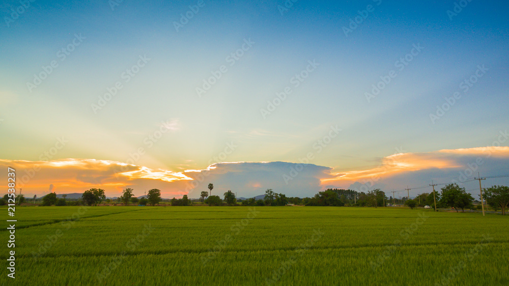 aerial view scenery sunset on new route pass in the rice field. under construction new motorway connect to Myanmar. aerial view scenery sunset on new route pass in the rice field. under construction new motorway connect to Myanmar.