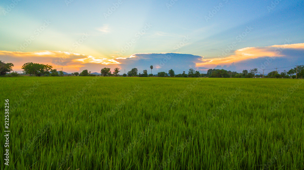 aerial view scenery sunset on new route pass in the rice field. under construction new motorway connect to Myanmar.