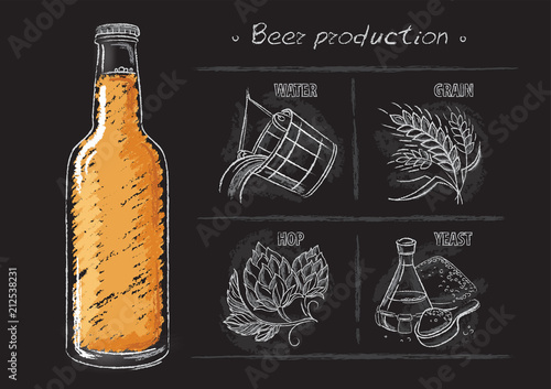 Vintage hand drawn vector illustrations of brewers components