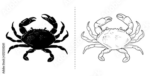 Crab silhouette sea animal. Vector illustration on white background photo