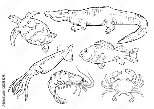Sea animals line set on white background. Vector illustration