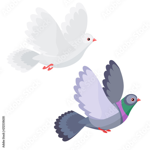 Illustration of dove and pigeon flying isolated on white background