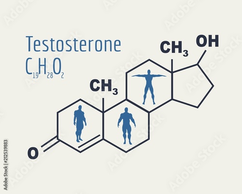 Chemical molecular formula hormone testosterone. Infographics illustration. Man silhouette