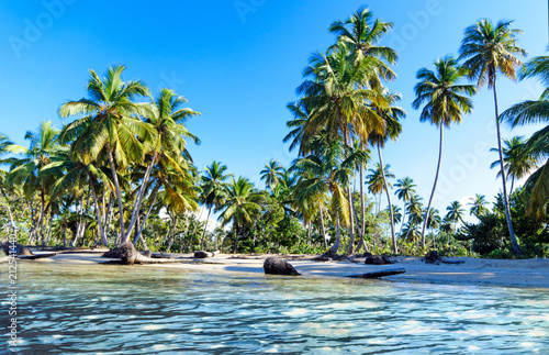 Ferien  Tourismus  Sommer  Sonne  Strand  Auszeit  Meer  Gl  ck  Entspannung  Meditation  Palmen  Mangroven  Traumurlaub an einem einsamen  karibischen Strand   