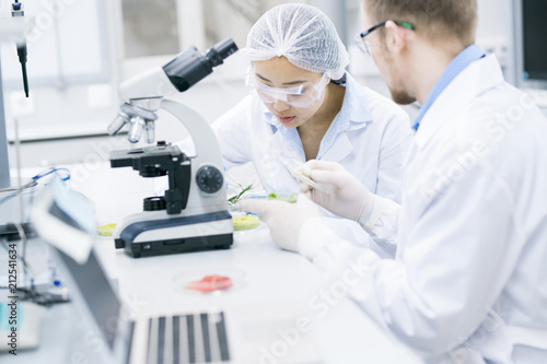 Portrait of two modern young scientists doing research studying substances in laboratory, copy space