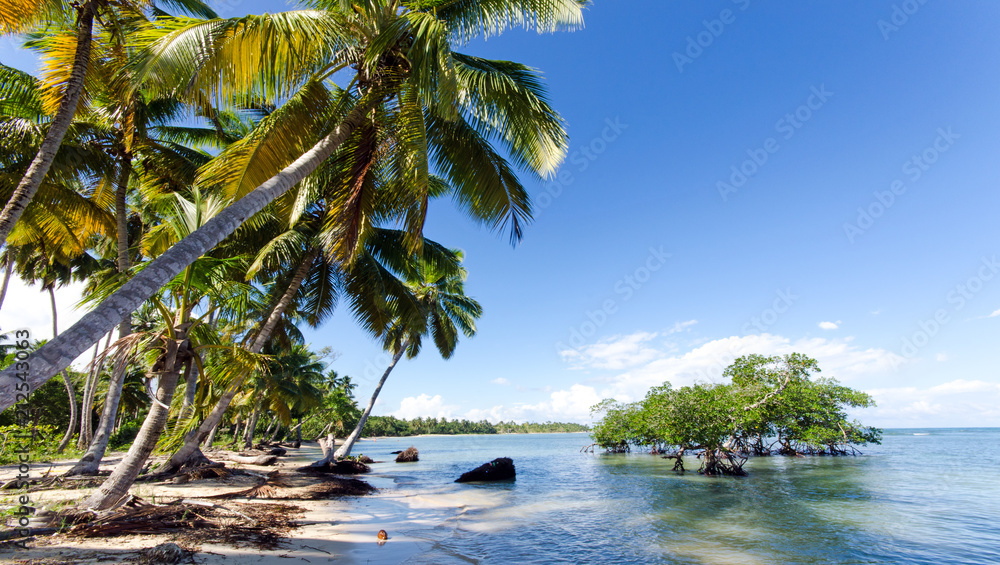 Ferien, Tourismus, Sommer, Sonne, Strand, Auszeit, Meer, Glück, Entspannung, Meditation, Palmen, Mangroven: Traumurlaub an einem einsamen, karibischen Strand :) - obrazy, fototapety, plakaty 
