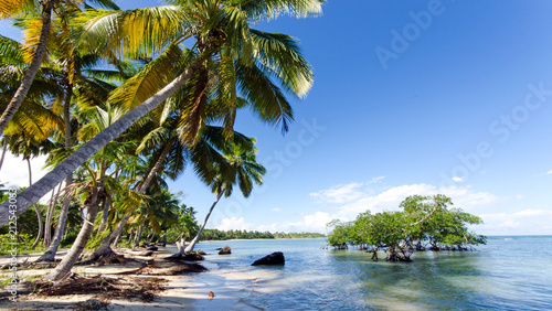 Ferien, Tourismus, Sommer, Sonne, Strand, Auszeit, Meer, Glück, Entspannung, Meditation, Palmen, Mangroven: Traumurlaub an einem einsamen, karibischen Strand :)