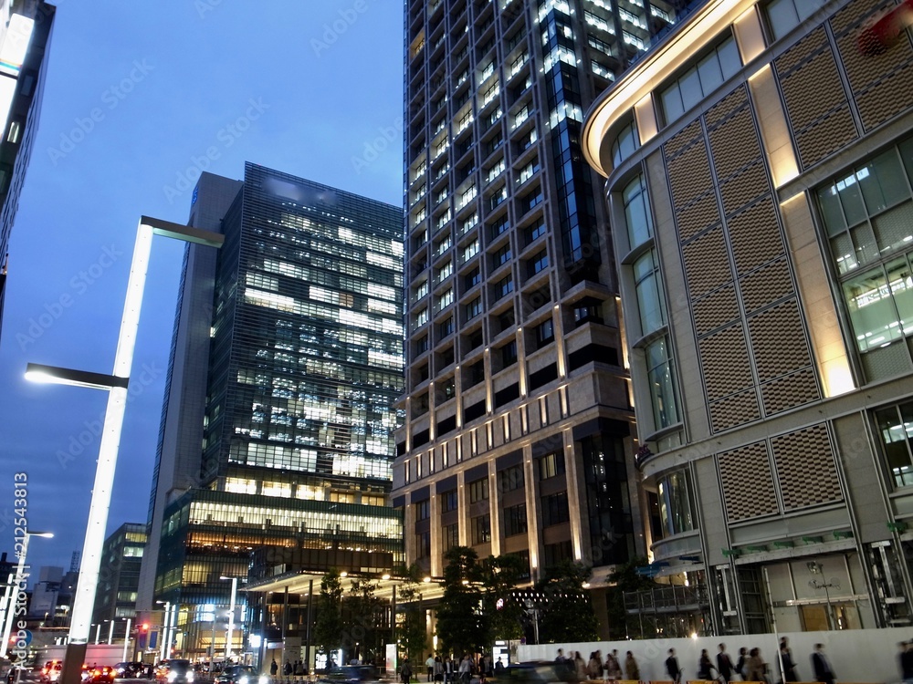 Fototapeta premium 東京百景