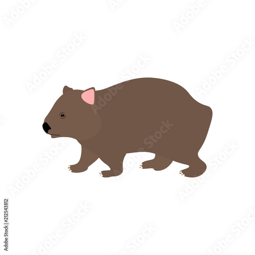 Wombat vector illustration