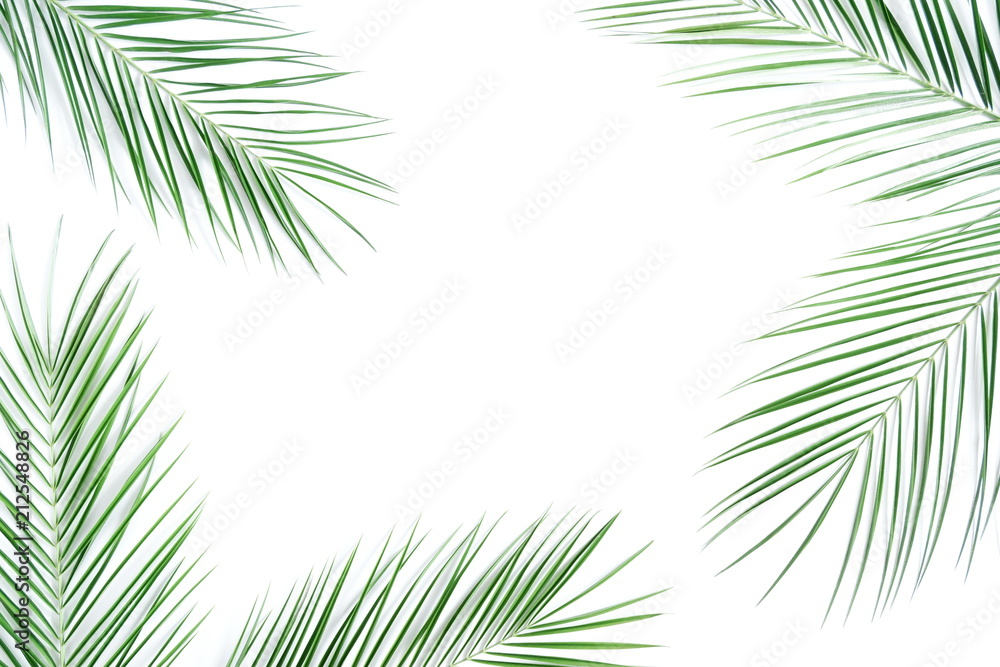 Tropical palm leaves branches on white background, camera, starfish. Summer concept. Flat lay, top view, copy space Tropical palm leaves branches on white background, camera, starfish. Summer concept. Flat lay, top view, copy space