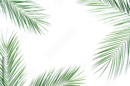 Tropical palm leaves branches on white background, camera, starfish. Summer concept. Flat lay, top view, copy space 