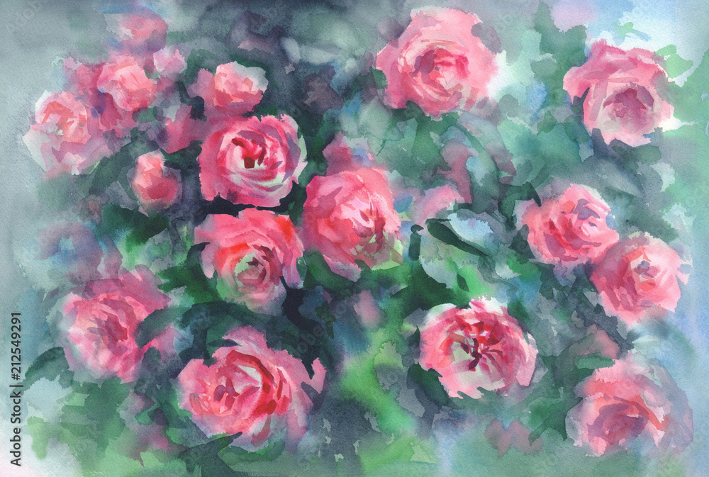pink roses in green background watercolor