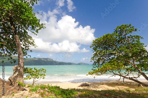 Welcome to the Caribbean paradise: rest, relaxation, dreaming and enjoying a lonely beautiful beach :) © doris oberfrank-list