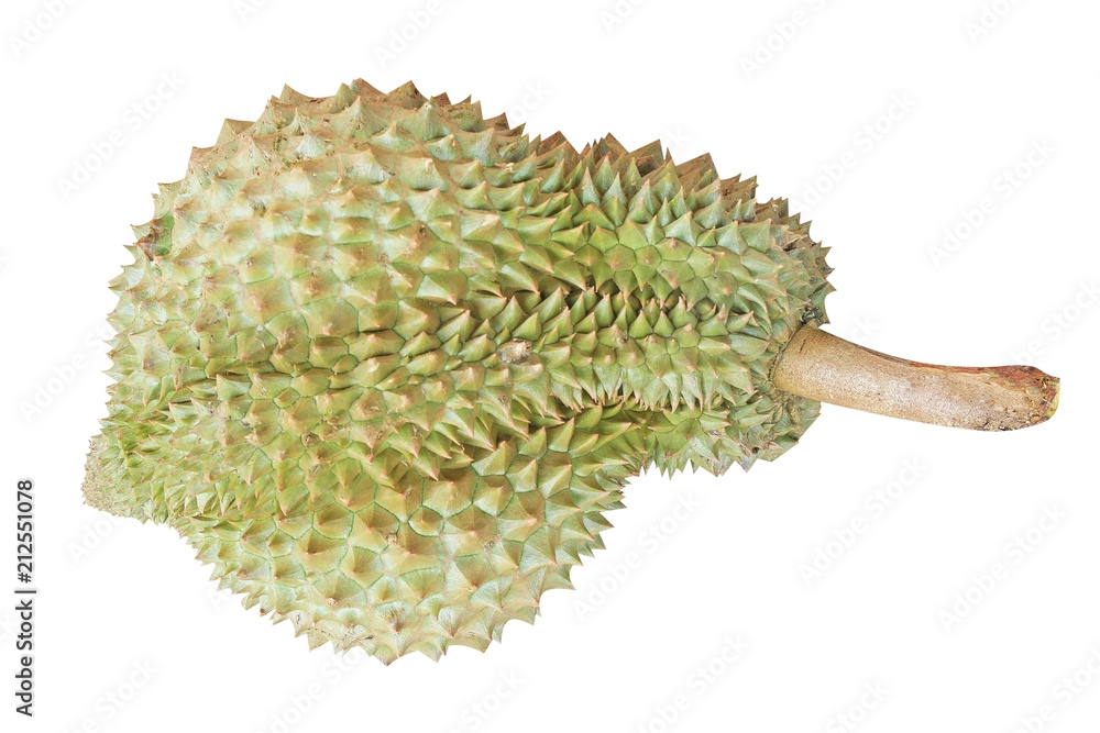 Durian with green stem tropical fruit isolated on white backgroud Durian with green stem tropical fruit isolated on white backgroud