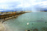 Famous swiss view on lake in Geneva, fountain and white swan on cloudy day